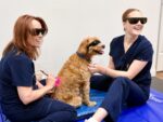 Canine Rehab Centre